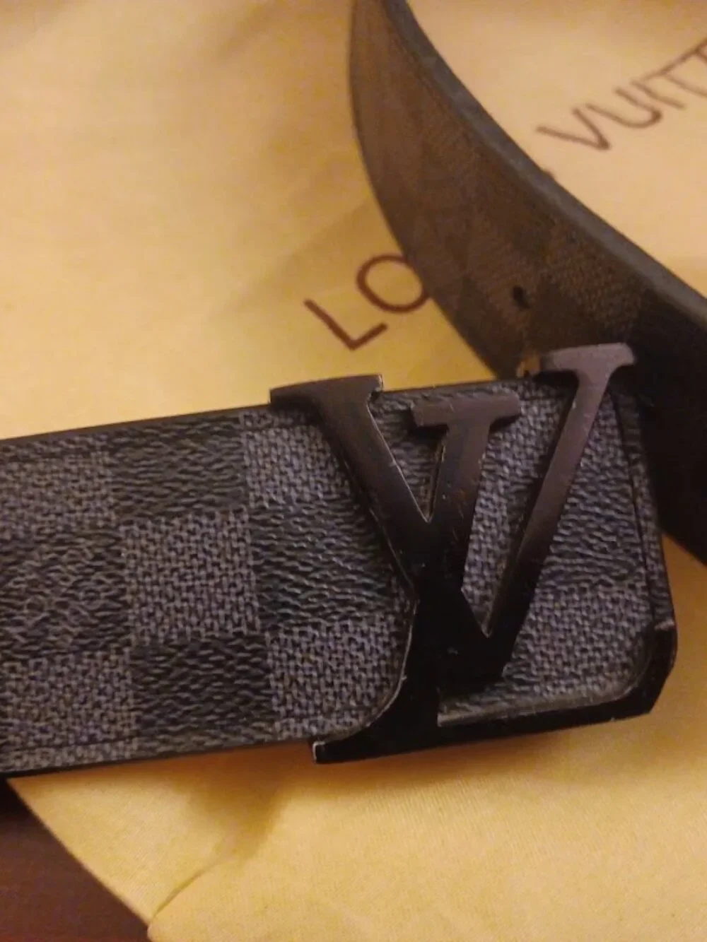 Louis Vuitton authentic louis